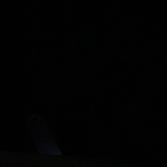 Meet your Posher, Daniella - Picture 1 of 1